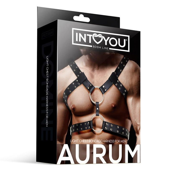 Aurum Arnes Masculino para Bondage Cuero Vegano