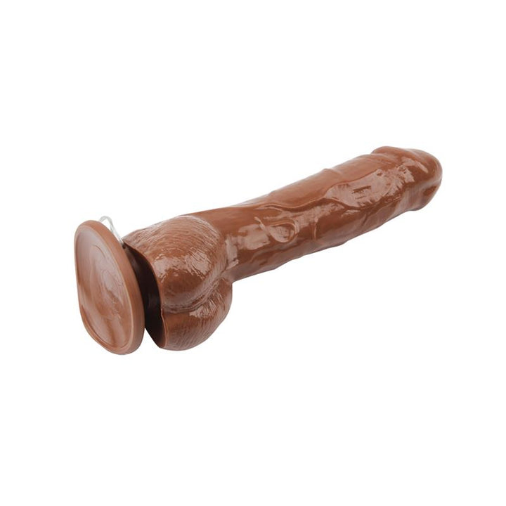 Vibrador Jeff Stryker 89 Marron